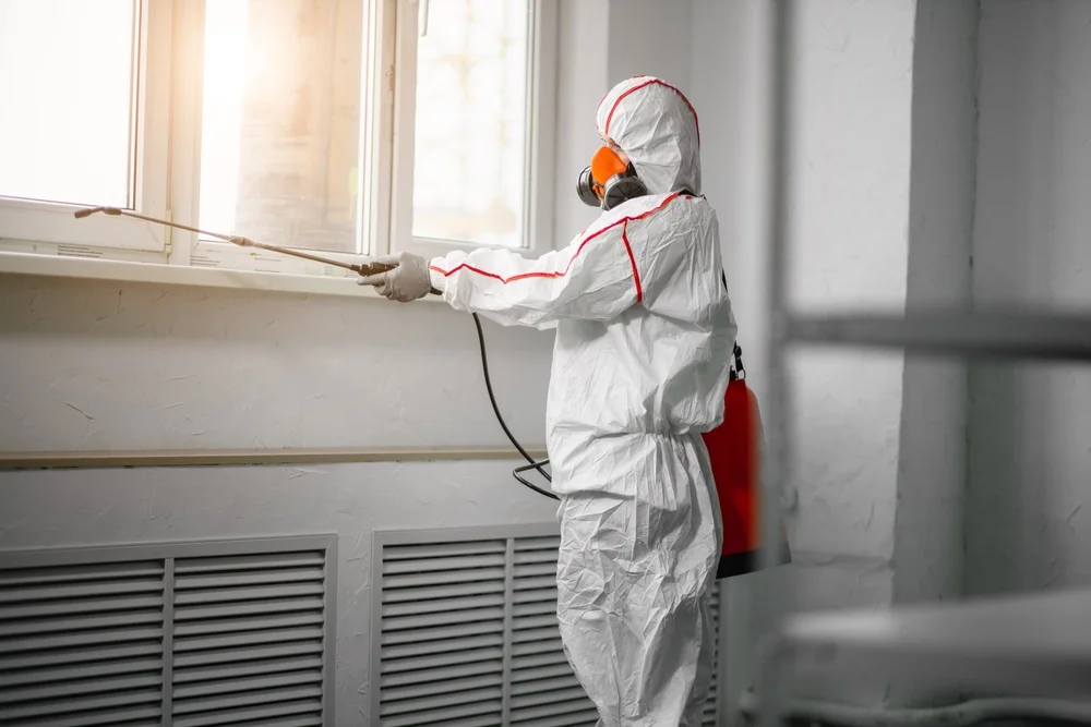 Professional mold remediation services in Newport, MI